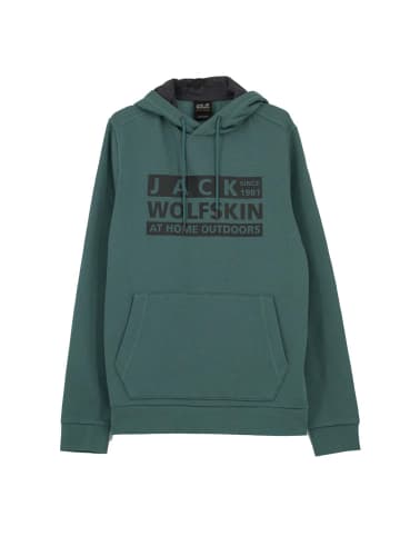 Jack Wolfskin Pullover Sweater Brand Logo Hoody Sweater in Grün