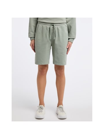 Joy Hose 106 in Grün