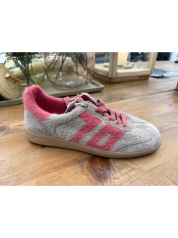 Back 70 Schnürschuh in taupe