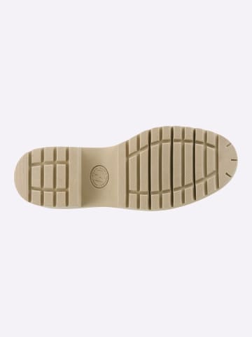 Heine Schnürstiefelette in taupe