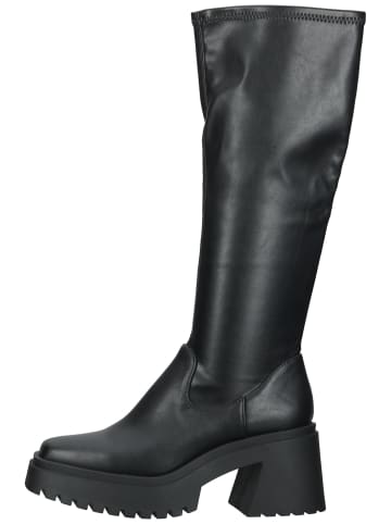 Steve Madden Stiefel in Schwarz