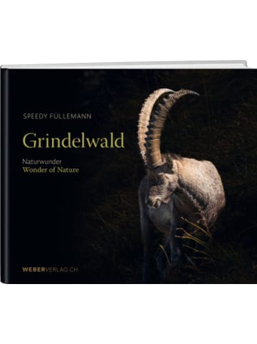 Weber Verlag Thun Buch - Grindelwald