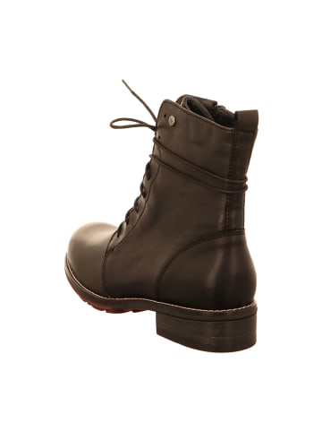 wolky Schnürstiefeletten in Schwarz