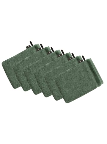 Vossen 6er Pack Waschhandschuh in green tea