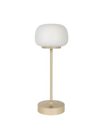näve LED Tischleuchte "PINA" in beige - (L)10.5 cm x (B)10.5 cm x (H)30 cm - EEK G