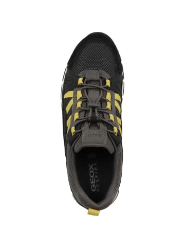 Geox Sneaker low U Delray A in schwarz