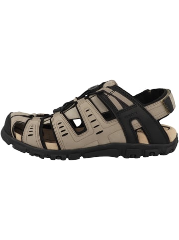 Geox Sandale U Sandal Strada C in beige