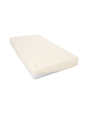 Hahn H.G. Hahn Spannbetttuch Primera Jersey in ecru