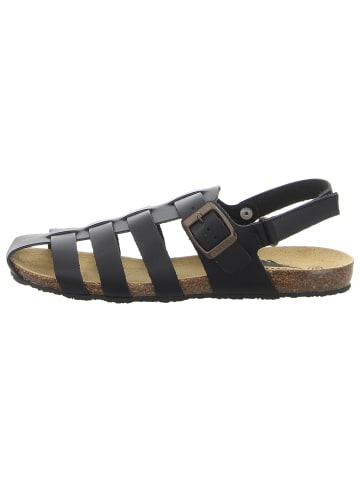 Plakton Riemchensandalette in schwarz