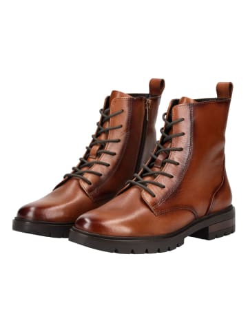 ara Stiefelette in Braun