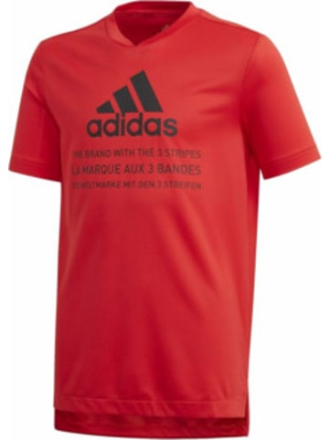 adidas TShirt für Jungen in unifarben in uni