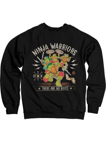Teenage Mutant Ninja Turtles Pullover in Schwarz