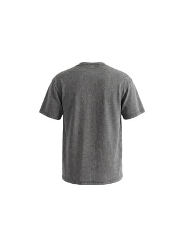 PLUMDALE Men T-Shirt in LIGHT GREY