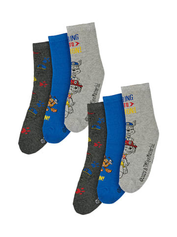 ONOMATO! 6er-Set: Socken Paw Patrol in Mehrfarbig