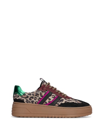 POELMAN Poelman ANEMONE Damen Sneaker
