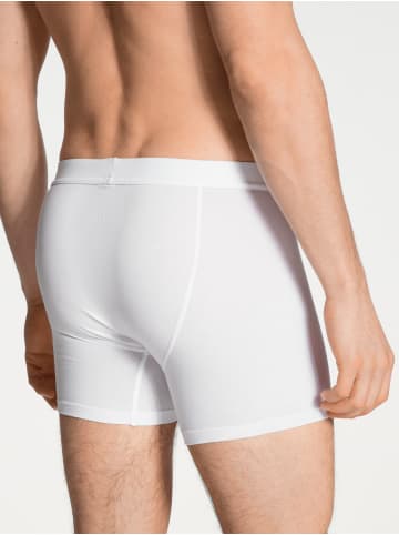 Calida New Boxer in weiss