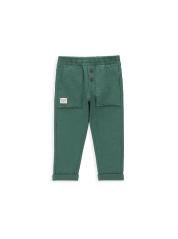Coccodrillo Sporthose in grün