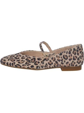 Paul Green Ballerinas in leopardino desert