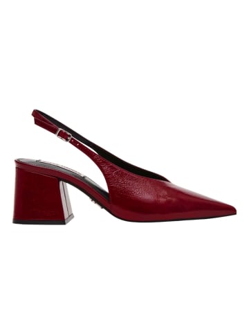 Steve Madden Pumps in Weinrot