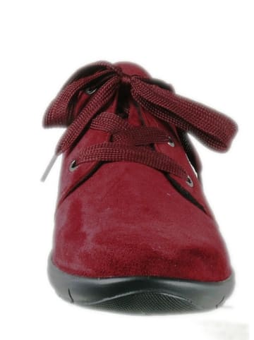 Semler Schnür-Stiefeletten für Damen in bordeaux