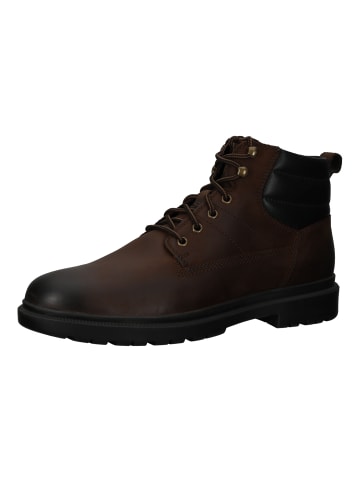 Geox Stiefelette in Coffee