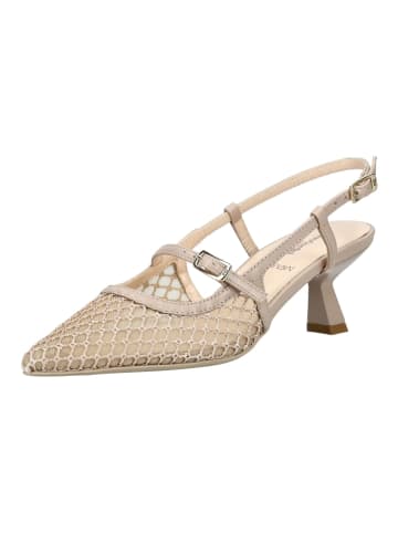 Nero Giardini Pumps in Beige/Rosa