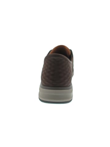 Skechers Slip-Ins: Orell-Yates Slipper Braun