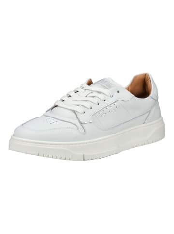 Steve Madden Sneaker in Weiß