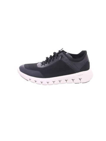 Gabor Sneaker für Herren in schwarz