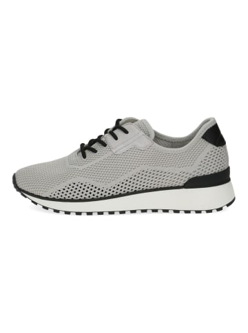 Caprice Sneaker in Grau