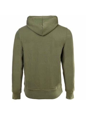 Champion Sweatshirt 1er Pack in Grün