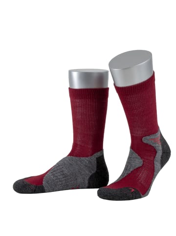 JD J. Dirks Outdoor-Funktions-Wollsocken OD40 in bordeaux (20)