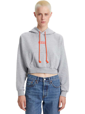 Levi´s Kapuzenpullover in heather grey/burnt orange