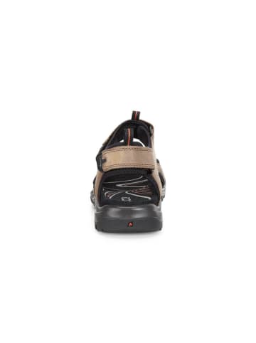 Ecco Sandalette in braun