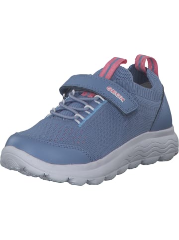 Geox Sneakers Low in INDIGO/LT CORAL