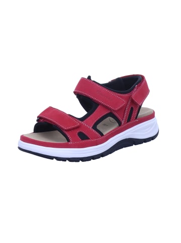 Ganter Pantolette in rot