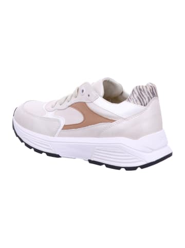 Xsensible Sneaker Low in beige