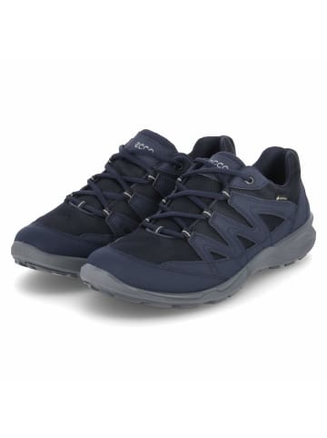 Ecco Outdoorschuhe TERRACRUISE LT M in Blau