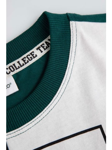 Coccodrillo T-Shirt mit kurzem Ärmel in bunt