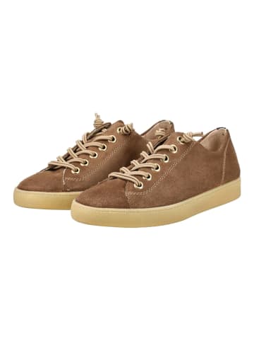 Paul Green Sneaker Desert