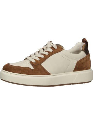 Paul Green Sportschuhe in beige