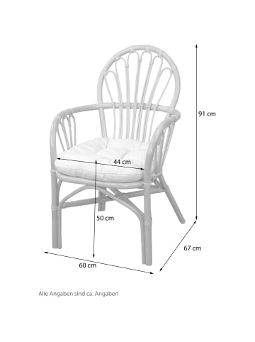 möbel-direkt Rattansessel (2Stück) mit Kissen Conny in weiß