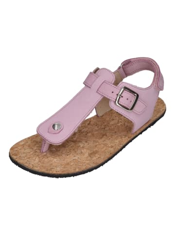 KOEL Sandalen ABRIANA NAPPA  in lila