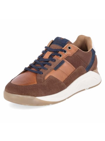Bullboxer Schnürhalbschuh in brown