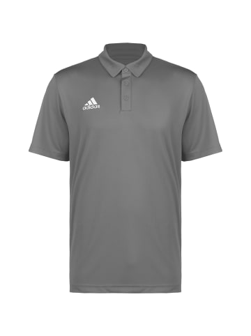 adidas Performance Poloshirt Entrada 22 in grau