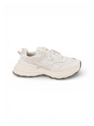 Apple of Eden Sneaker NANTES in IVORY