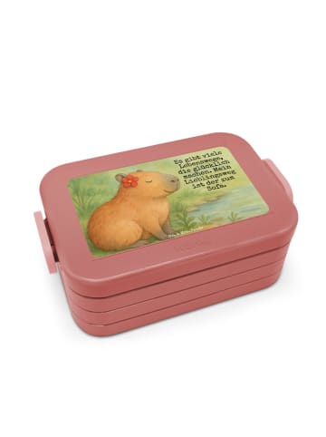 Mr. & Mrs. Panda Brotdose Capybara Blume Design mit Spruch in Rot Pastell