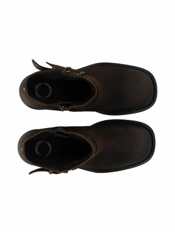 Cashott Stiefeletten CSRIKKE in Dark Brown