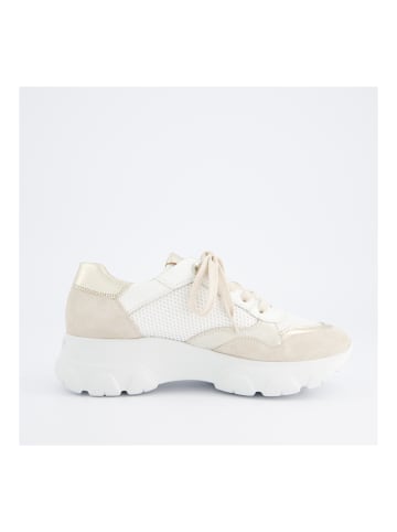 Paul Green Sneaker in Weiß Kombi