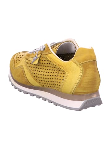 Cetti Sportliche Schnürschuhe in Gelb